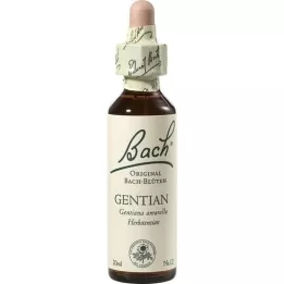 BACHBLÜTEN Gentian Tropfen, 20 ml