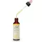 BACHBLÜTEN Gentian Tropfen, 20 ml