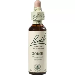 BACHBLÜTEN Gorse Tropfen, 20 ml