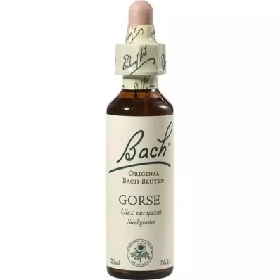 BACHBLÜTEN Gorse Tropfen, 20 ml BACHBLÜTEN Gorse Tropfen, 20 ml