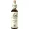 BACHBLÜTEN Holly Tropfen, 20 ml