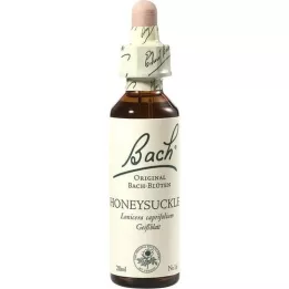 BACHBLÜTEN Honeysuckle Tropfen, 20 ml