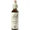 BACHBLÜTEN Hornbeam Tropfen, 20 ml