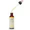 BACHBLÜTEN Hornbeam Tropfen, 20 ml