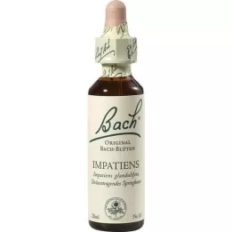 BACHBLÜTEN Impatiens Tropfen, 20 ml