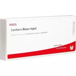CANTHARIS BLASEN Inject Ampullen, 10X1 ml