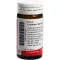 CANTHARIS BLASEN Globuli velati, 20 g