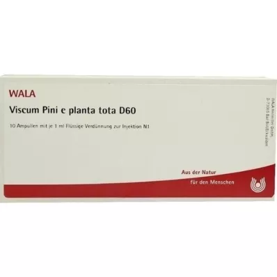 VISCUM PINI e planta tota D 60 Ampullen, 10X1 ml