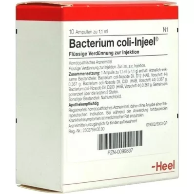 BACTERIUM COLI Injeel Ampullen, 10 St