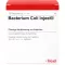 BACTERIUM COLI Injeel Ampullen, 10 St