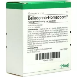 BELLADONNA HOMACCORD Ampullen, 10 St