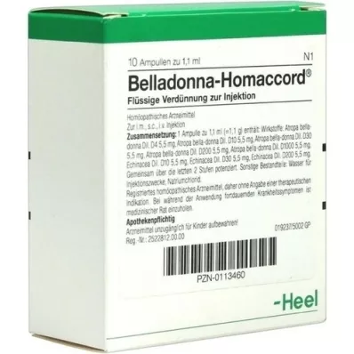 BELLADONNA HOMACCORD Ampullen, 10 St