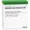 BELLADONNA HOMACCORD Ampullen, 10 St