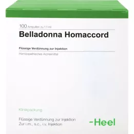 BELLADONNA HOMACCORD Ampullen, 100 St