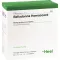 BELLADONNA HOMACCORD Ampullen, 100 St