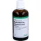 BELLADONNA HOMACCORD Tropfen, 100 ml