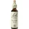 BACHBLÜTEN Mustard Tropfen, 20 ml