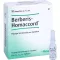 BERBERIS HOMACCORD Ampullen, 10 St