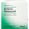 BERBERIS HOMACCORD Ampullen, 100 St