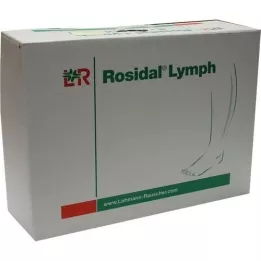 ROSIDAL Lymph Bein groß, 1 St