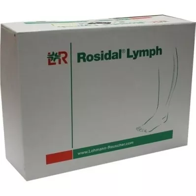 ROSIDAL Lymph Bein groß, 1 St