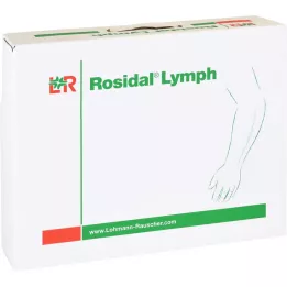 ROSIDAL Lymph Arm groß, 1 St
