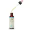 BACHBLÜTEN Rock Water Tropfen, 20 ml