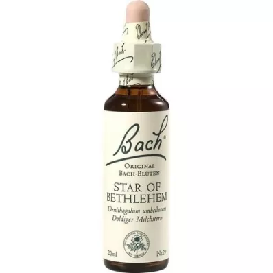 BACHBLÜTEN Star of Bethlehem Tropfen, 20 ml