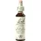 BACHBLÜTEN Star of Bethlehem Tropfen, 20 ml