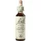 BACHBLÜTEN Sweet Chestnut Tropfen, 20 ml