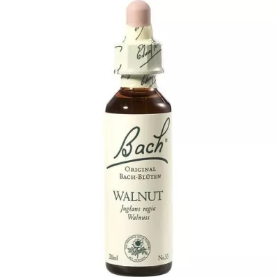 BACHBLÜTEN Walnut Tropfen, 20 ml