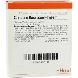 CALCIUM FLUORATUM INJEEL Ampullen, 10 St