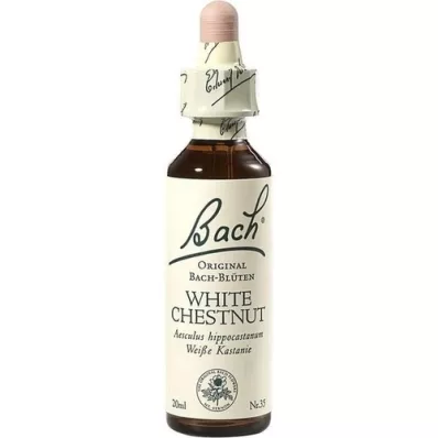 BACHBLÜTEN White Chestnut Tropfen, 20 ml