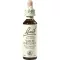 BACHBLÜTEN White Chestnut Tropfen, 20 ml