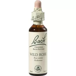 BACHBLÜTEN Wild Rose Tropfen, 20 ml