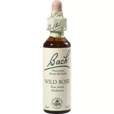 BACHBLÜTEN Wild Rose Tropfen, 20 ml