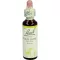 BACHBLÜTEN Wild Rose Tropfen, 20 ml