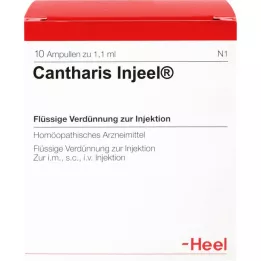 CANTHARIS INJEEL Ampullen, 10 St