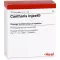 CANTHARIS INJEEL Ampullen, 10 St