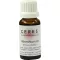 CERES Absinthium Urtinktur, 20 ml