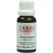 CERES Avena sativa Urtinktur, 20 ml