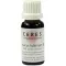 CERES Dipsacus fullonum Urtinktur, 20 ml