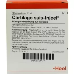 CARTILAGO suis Injeel Ampullen, 10 St