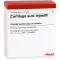 CARTILAGO suis Injeel Ampullen, 10 St
