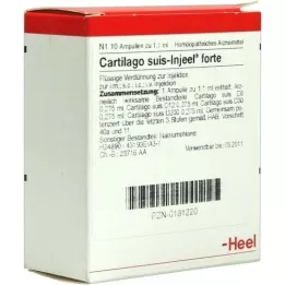 CARTILAGO suis Injeel forte Ampullen, 10 St