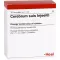 CEREBRUM SUIS Injeel Ampullen, 10 St