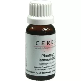 CERES Plantago lanceolata Urtinktur, 20 ml