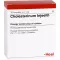 CHOLESTERINUM INJEEL Ampullen, 10 St