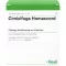 CIMICIFUGA HOMACCORD Ampullen, 10 St