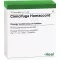 CIMICIFUGA HOMACCORD Ampullen, 10 St